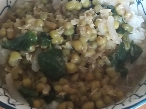 フィリピン料理:モンゴ(緑豆のスープ)